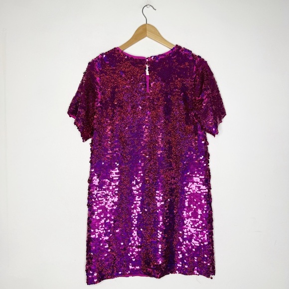 Verb Pink Sequin Short Sleeve Dress Anthropologie Size Small - Picture 4 of 12
